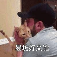 家猫和野猫有什么区别(家养的猫和野猫有什么区别)