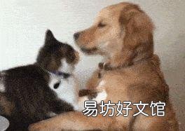 家猫和野猫有什么区别(家养的猫和野猫有什么区别)