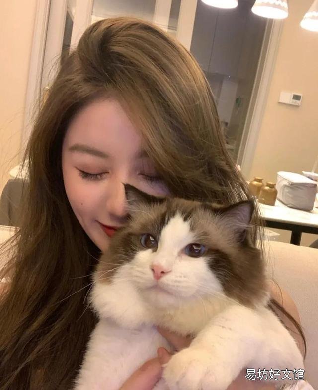 有诱食剂的猫粮能吃吗(猫经常吃带诱食剂的猫粮会怎么样)