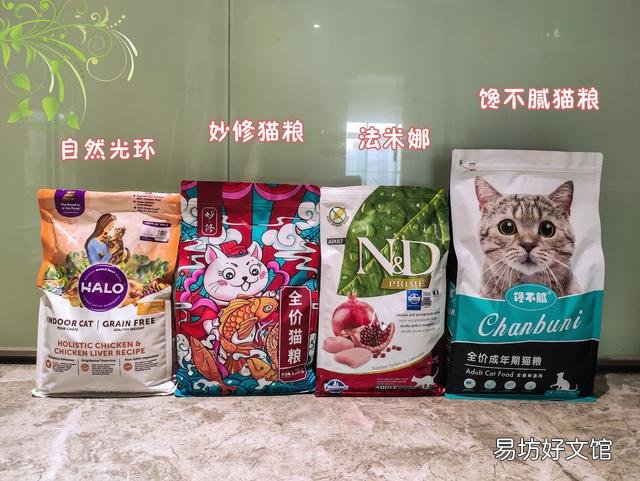 猫为什么不服从命令(猫不听命令)