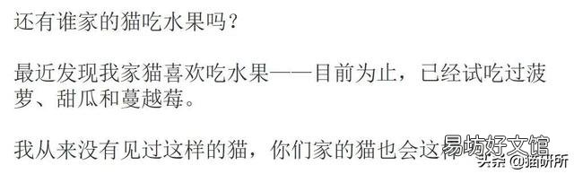 猫咪特别爱吃水果正常吗(猫咪特别喜欢吃水果)