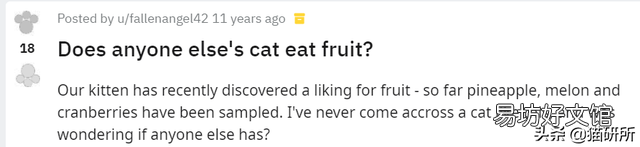 猫咪特别爱吃水果正常吗(猫咪特别喜欢吃水果)
