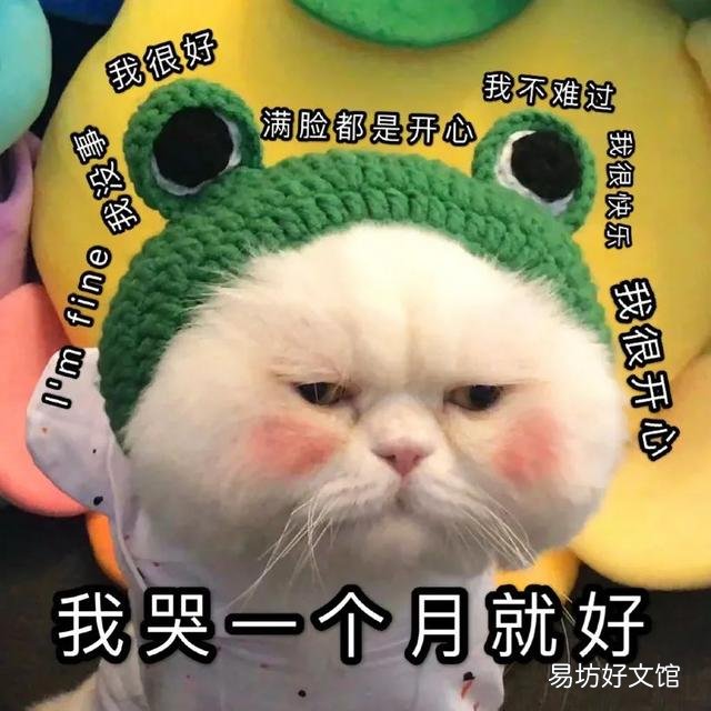 猫咪磨牙期几月到几月(猫咪的磨牙期是几月)