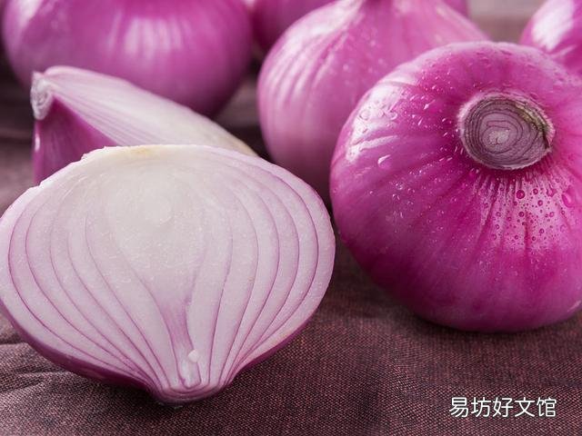 猫可以吃巧克力吗(猫吃一点点巧克力要紧吗)
