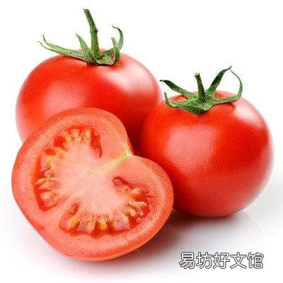 猫可以吃巧克力吗(猫吃一点点巧克力要紧吗)