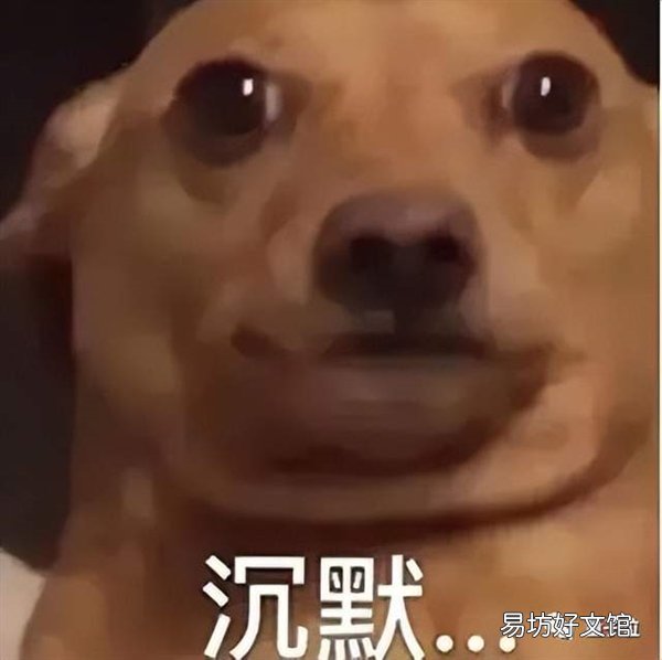 晶体管发明往事：误打误撞、反目成仇、共享诺奖