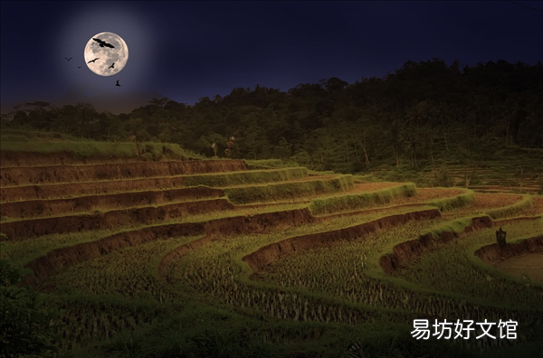 四川高校开“种田”必修课：学生晚上打电筒种菜