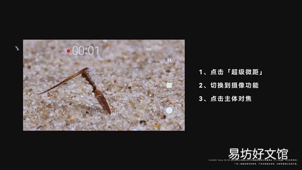 华为Mate 50 RS超微距拍摄种子:2.5毫米空间的奇迹