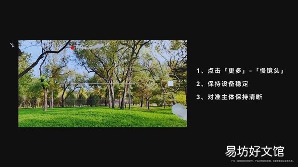 华为Mate 50 RS超微距拍摄种子:2.5毫米空间的奇迹