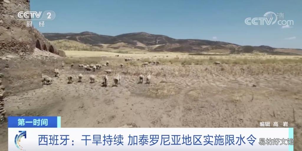「这一」不得用自来水洗车!这一国家宣布实施“限水令”