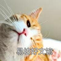 猫咪耳朵热就是发烧吗(猫咪耳朵热一定是发烧吗)
