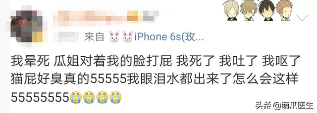 猫会放屁吗(猫知道自己放屁臭吗)