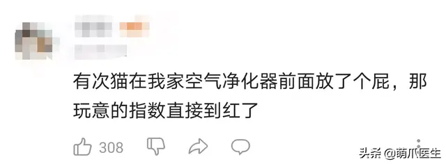 猫会放屁吗(猫知道自己放屁臭吗)
