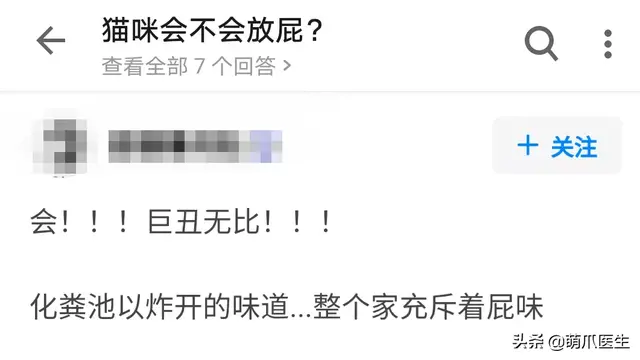 猫会放屁吗(猫知道自己放屁臭吗)