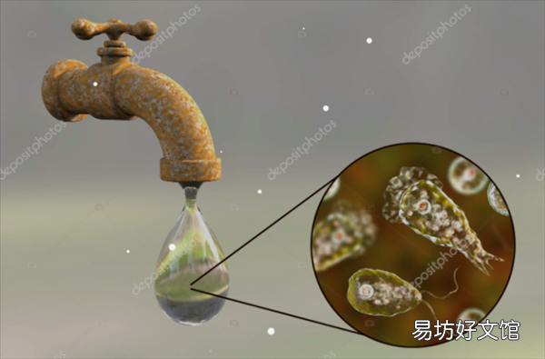 现实版三尸脑神丹?罕见食脑虫蔓延国 154人感染4人存活