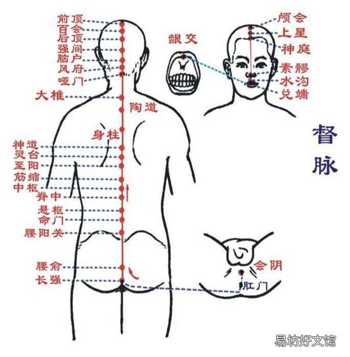 阳脉之海是指什么经脉